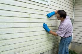 Best Insulated Siding Installation  in USA